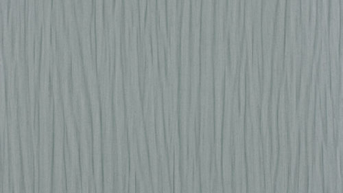 Naples  Eucalyptus W521-21